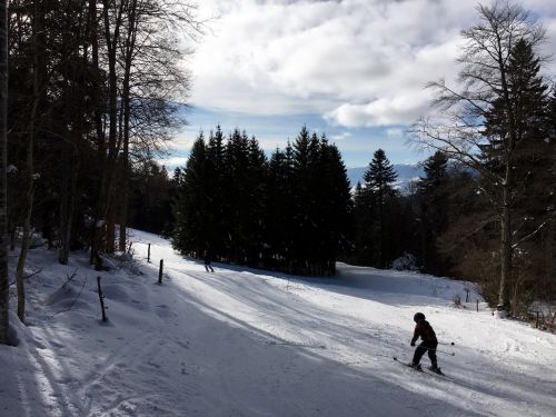23. Januar 2016
