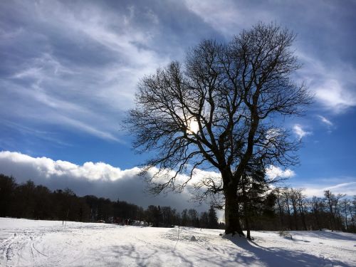 23. Januar 2016
