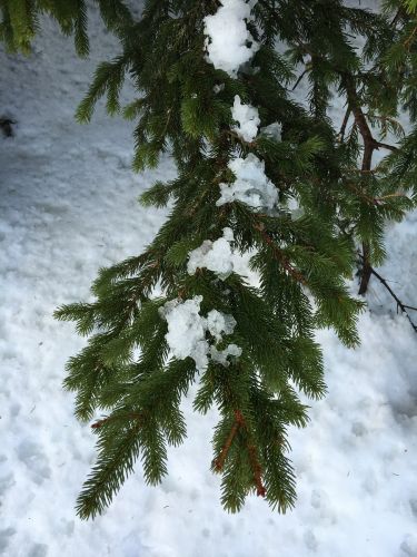 23. Januar 2016
