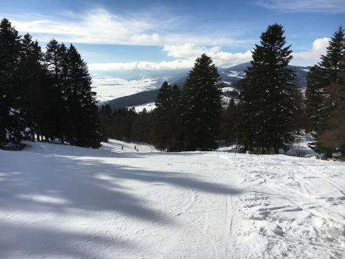23. Januar 2016

