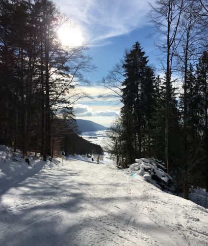 23. Januar 2016
