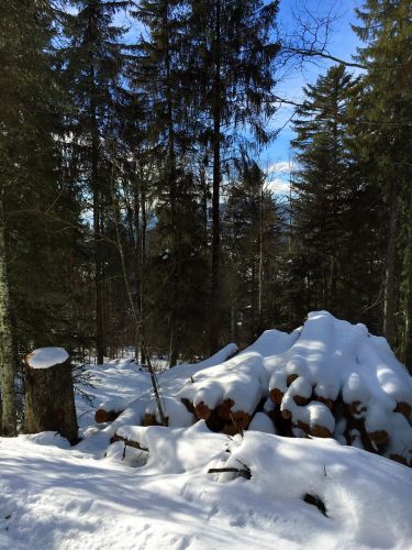 23. Januar 2016
