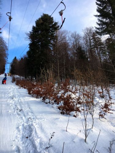 23. Januar 2016
