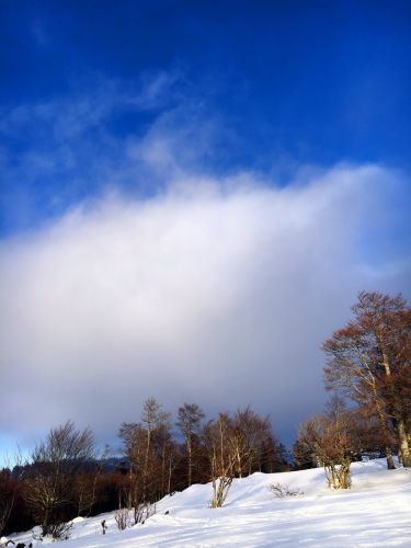 23. Januar 2016
