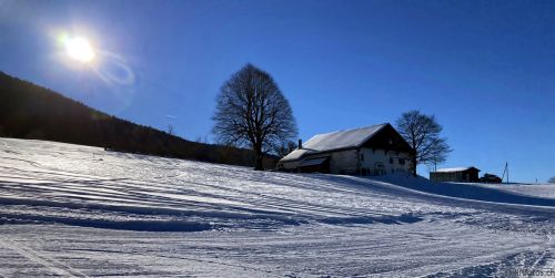 14. Januar 2022
