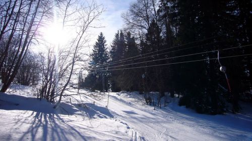 16. Januar 2009
