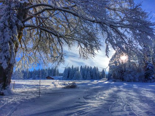 Les Breuleux, 18. Januar 2015

