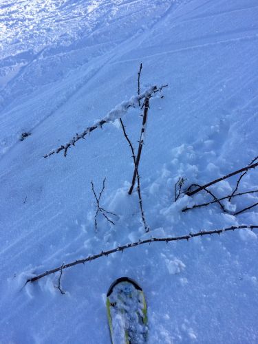 Les Breuleux, 18. Januar 2015
