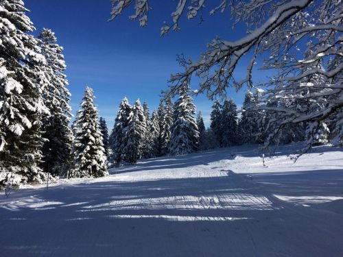 Les Breuleux, 18. Januar 2015
