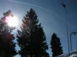 orvin-balmberg-mar05-662.jpg