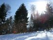 orvin-balmberg-mar05-680.jpg