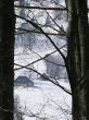 orvin-balmberg-mar05-694.jpg