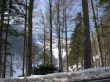 orvin-balmberg-mar05-695.jpg