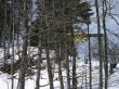 orvin-balmberg-mar05-776.jpg