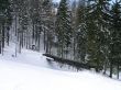 orvin-balmberg-mar05-806.jpg