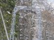 orvin-balmberg-mar05-808.jpg