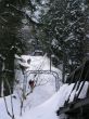 orvin-balmberg-mar05-812.jpg