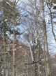 orvin-balmberg-mar05-837.jpg