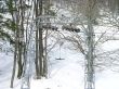 orvin-balmberg-mar05-838.jpg