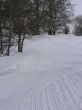 orvin-balmberg-mar05-839.jpg