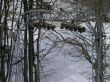 orvin-balmberg-mar05-840.jpg