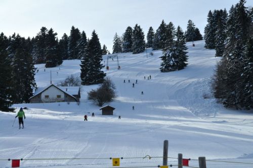 4. Februar 2010

