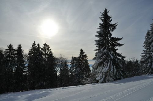 4. Februar 2010
