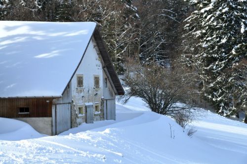 4. Februar 2010
