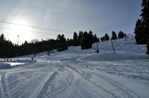 4. Februar 2010
