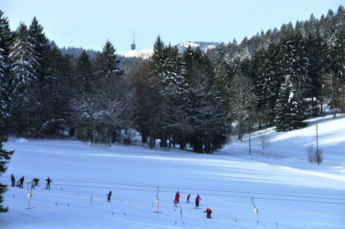 4. Februar 2010
