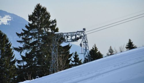 4. Februar 2010
