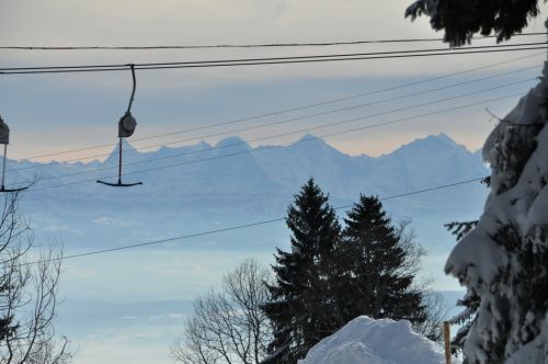 4. Februar 2010
