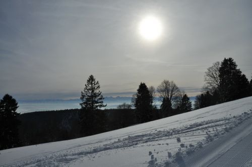 4. Februar 2010
