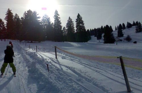 4. Februar 2010
