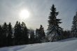 20100204-d-orvin-0036.jpg