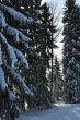 20100204-d-orvin-0124.jpg