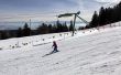 20180305-orvin-1253.jpg