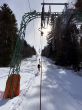 20180305-orvin-1280.jpg