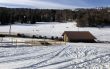 20180305-orvin-1292.jpg
