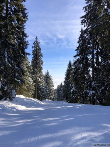 20190204-stecroix-lesrasses-019.jpg