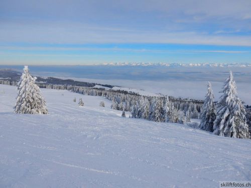 20190204-stecroix-lesrasses-205.jpg