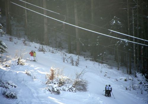16. Januar 2009
