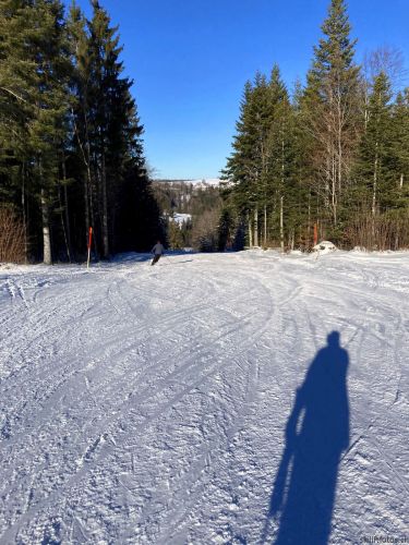14. Januar 2022
