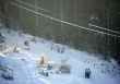 20090116-e-lesbreuleux-04287.jpg