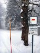 20160120-tramelan-0486.jpg