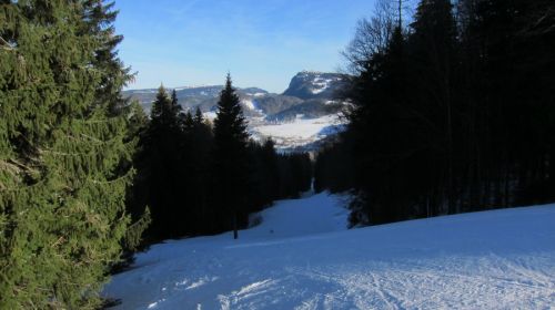 Nette Waldpisten
