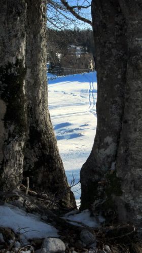 L'Abbaye, 18. Januar 2012
