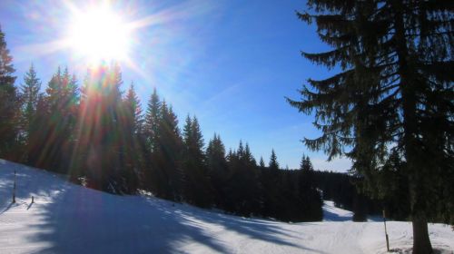 Le Brassus, 18. Januar 2012
