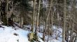20120118-ski-joux-vaulion-113.jpg