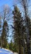 20120118-ski-joux-vaulion-216.jpg